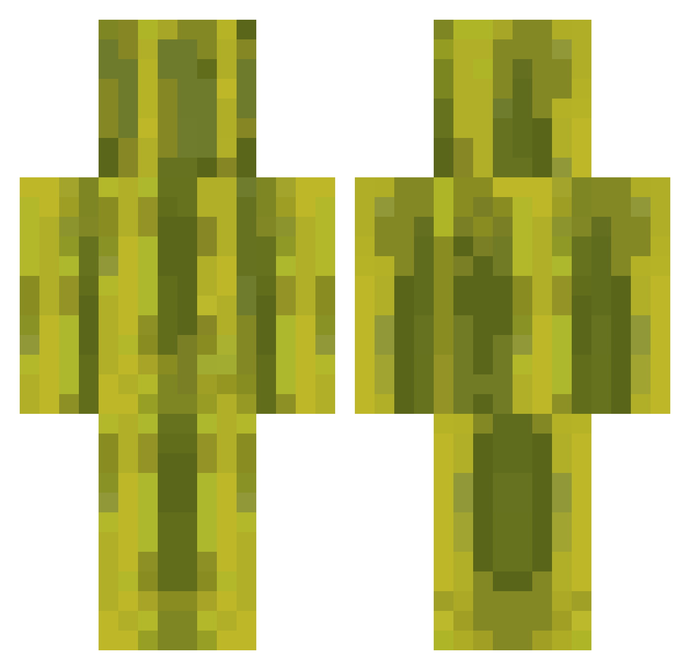Confusions Minecraft skin, front and back view