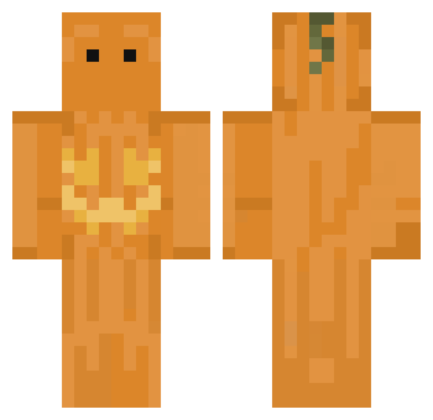 Hidess_ Minecraft skin, front and back view