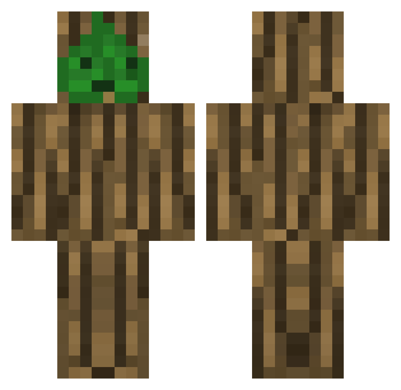 ThomasTheSapling Minecraft skin, front and back view