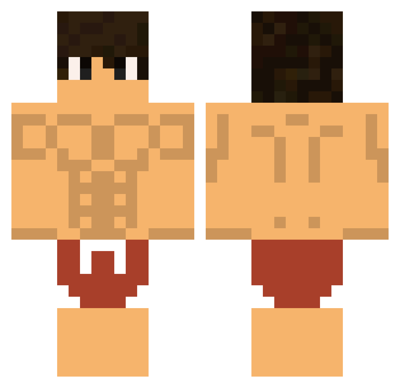 ShynoZ_ Minecraft skin, front and back view