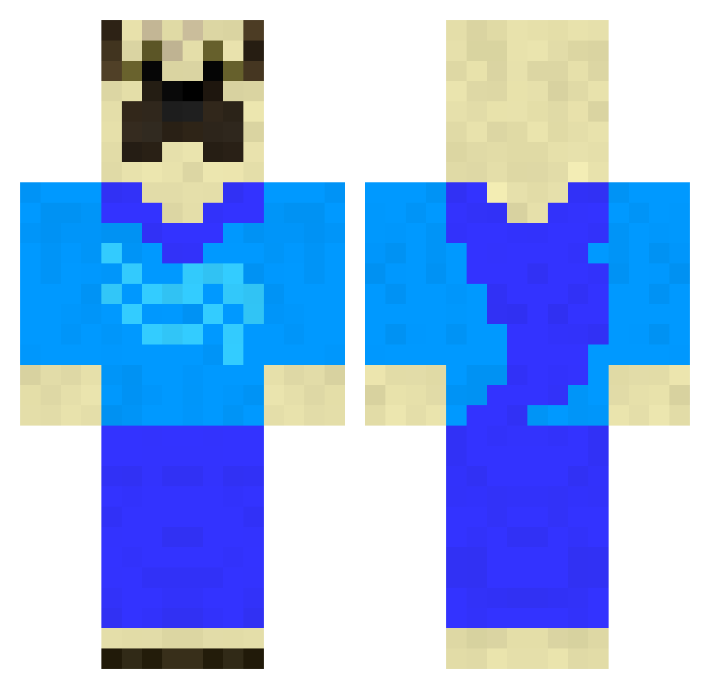 Pugdog Minecraft skin, front and back view