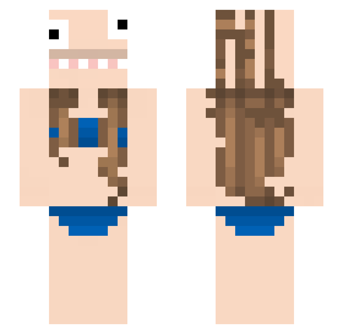 12849735798125 Minecraft skin, front and back view