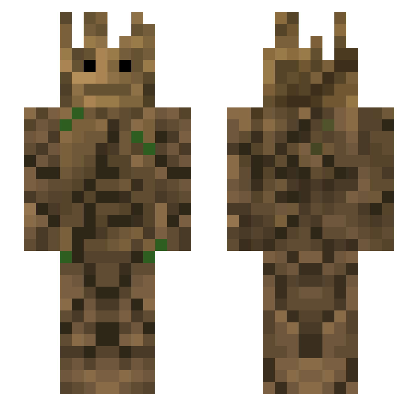IceFlom Minecraft skin, front and back view
