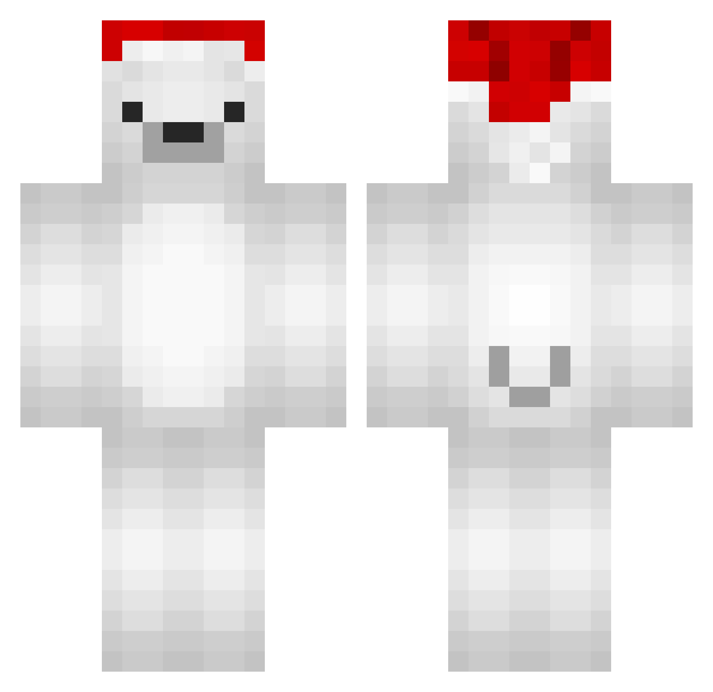 ecowoh Minecraft skin, front and back view