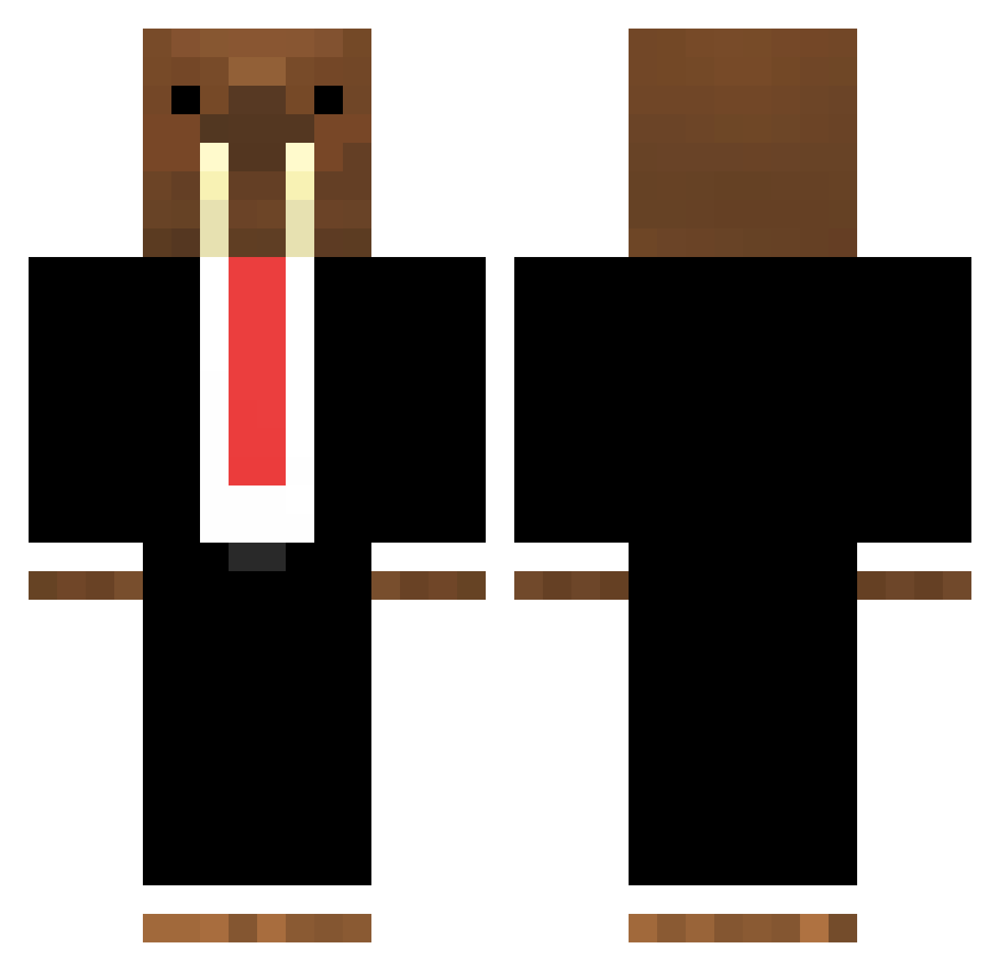 MrWalrus_csw Minecraft skin, front and back view