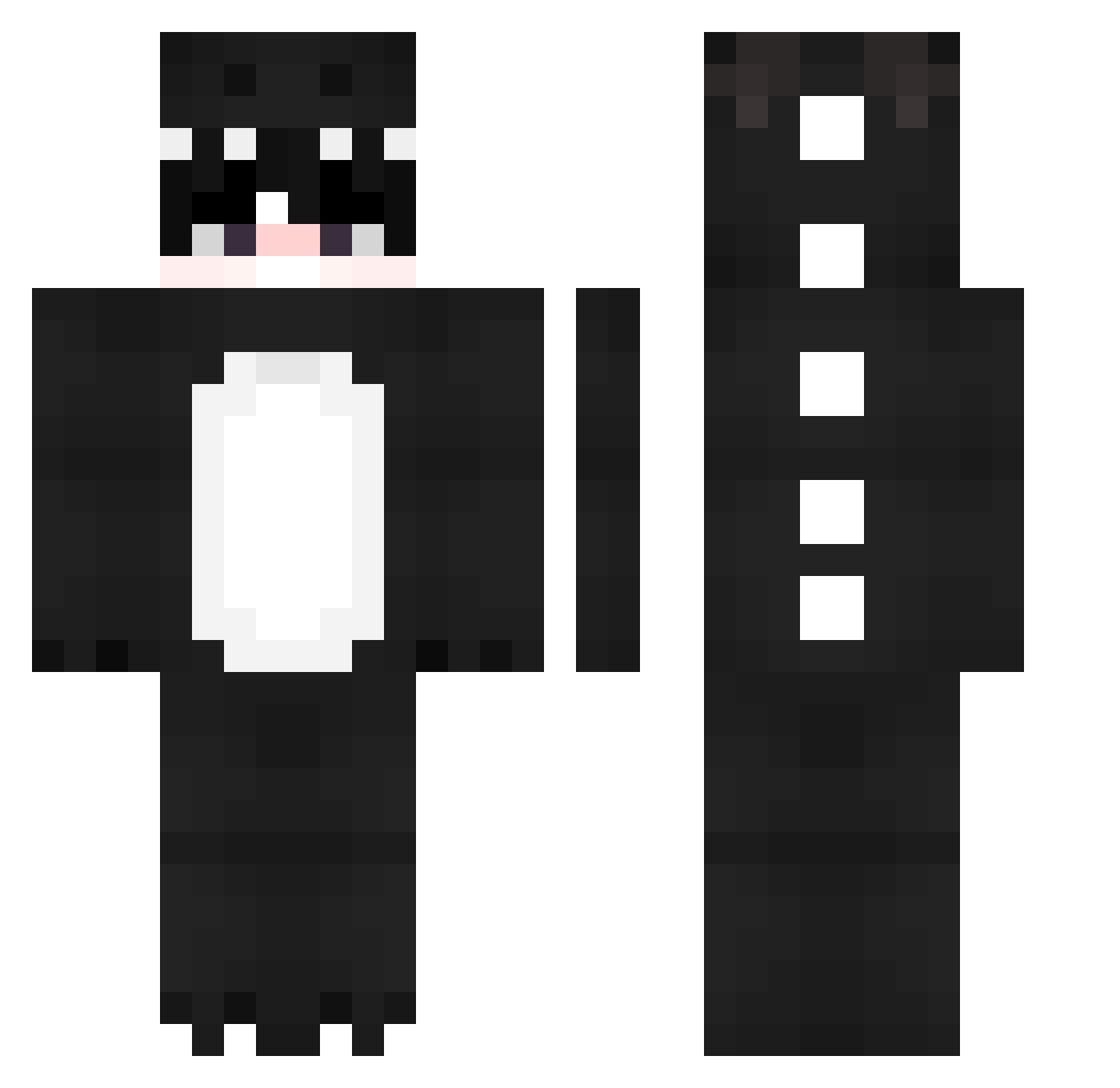 Raxoden Minecraft skin, front and back view