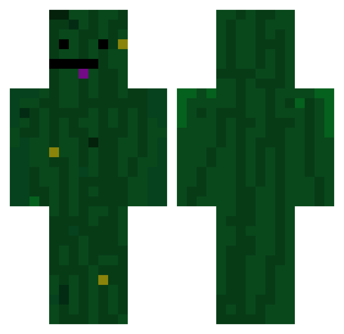 PickledCurve792 Minecraft skin, front and back view