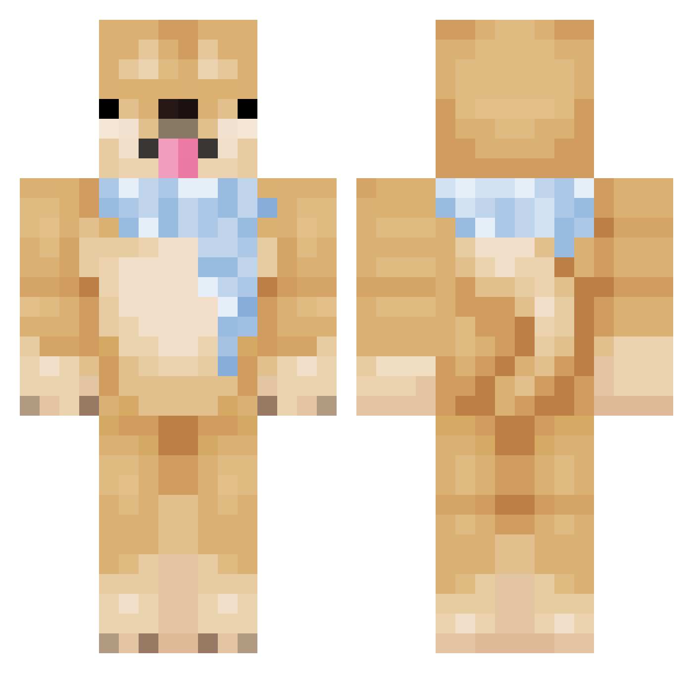 afoam Minecraft skin, front and back view