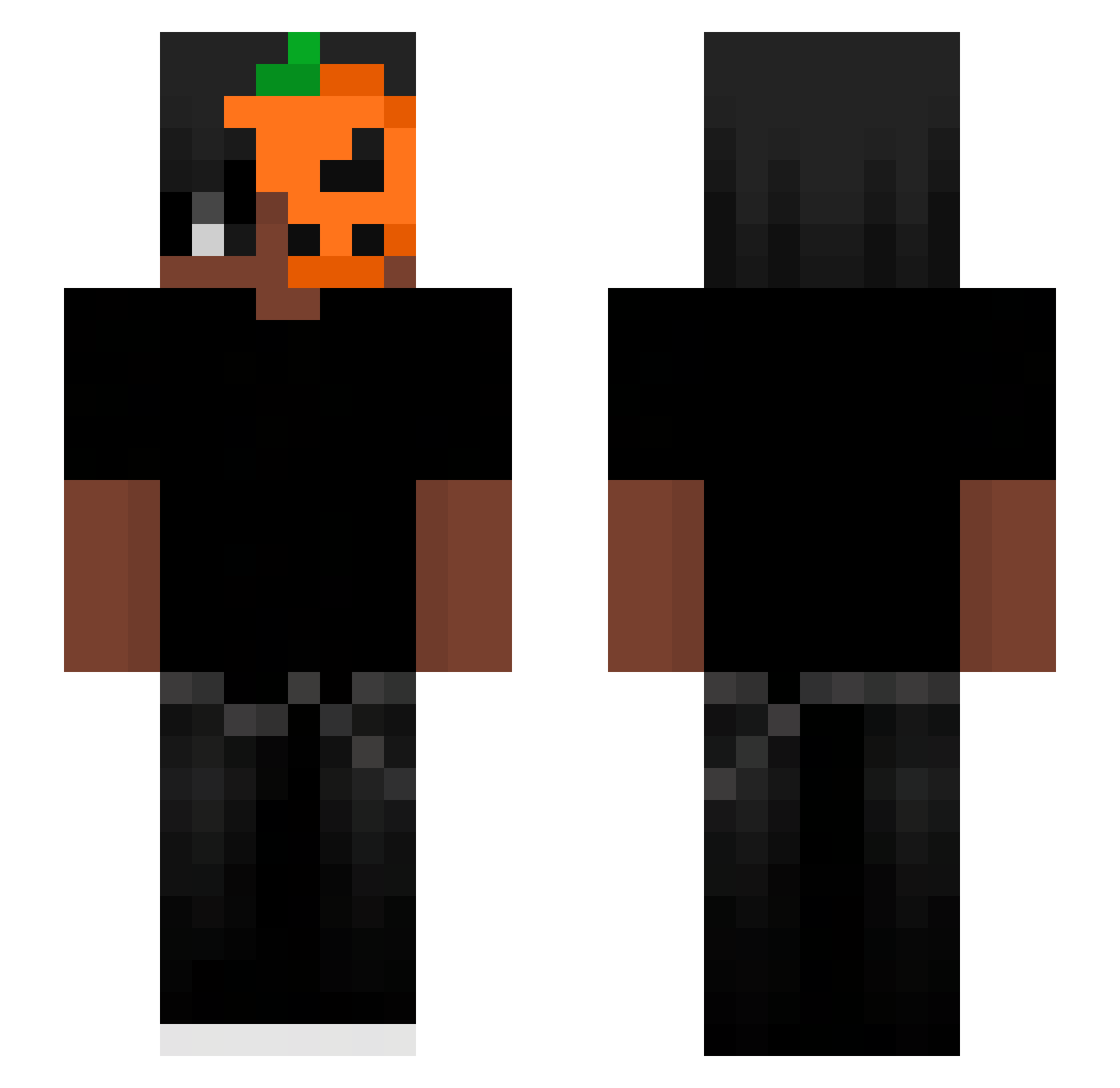 01389 Minecraft skin, front and back view