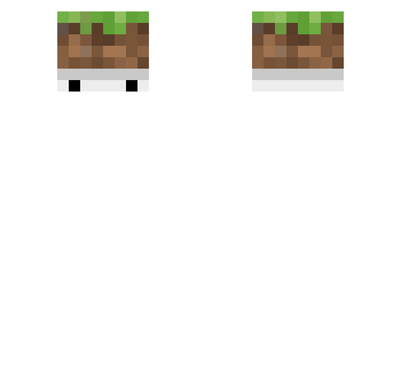 RoPT Minecraft skin, front and back view