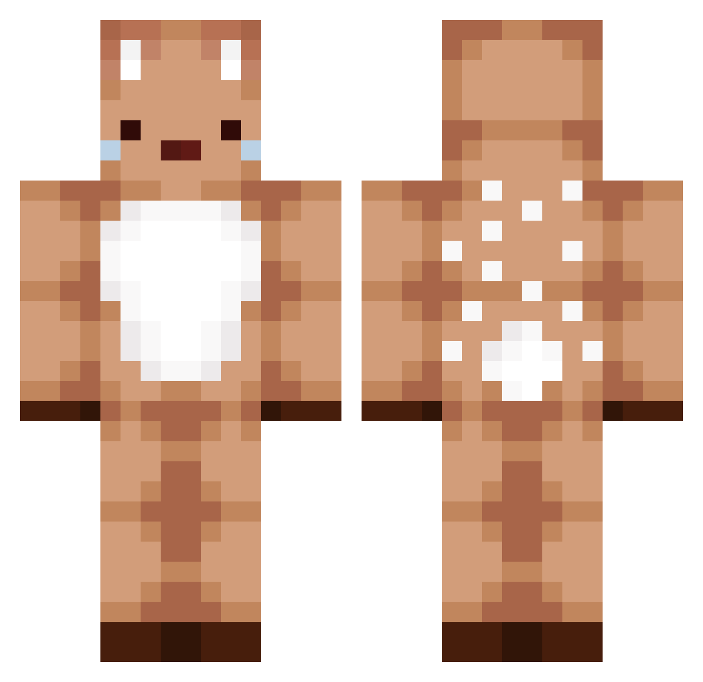RisingAether Minecraft skin, front and back view