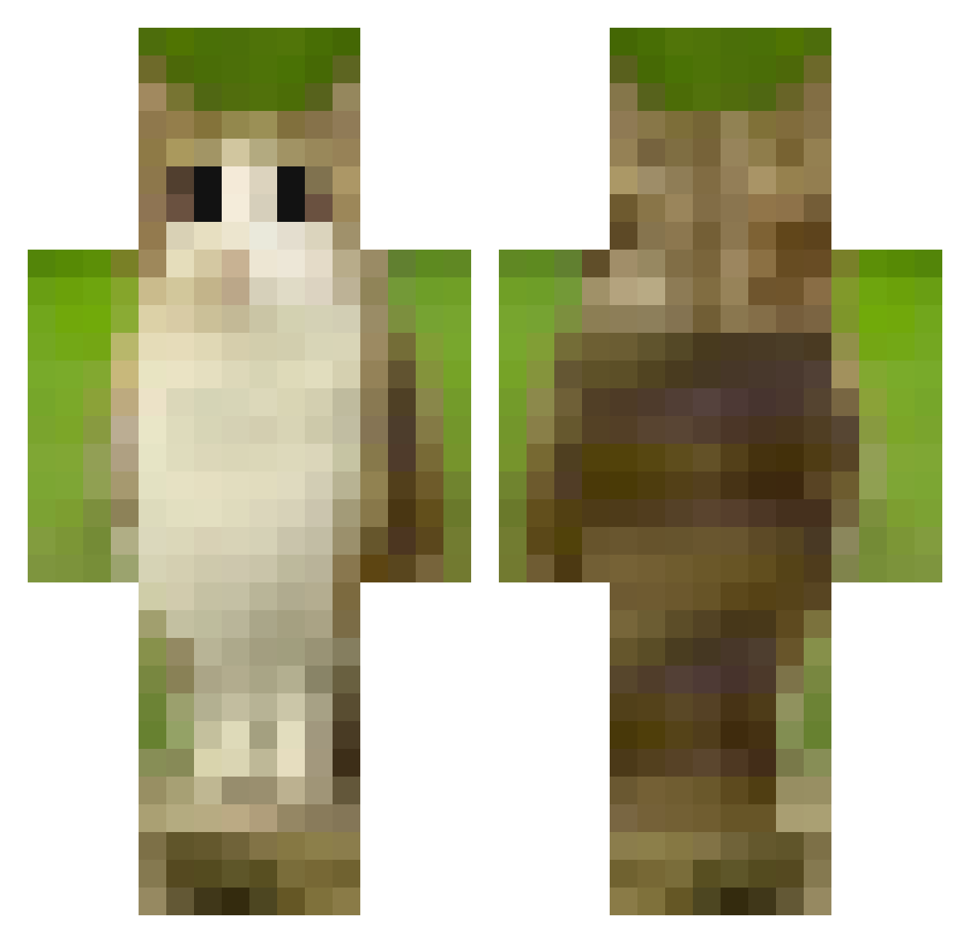 Ricardo_Fort Minecraft skin, front and back view