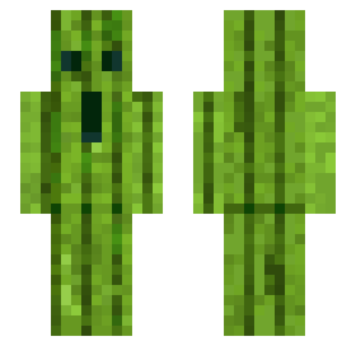 Scup Minecraft skin, front and back view