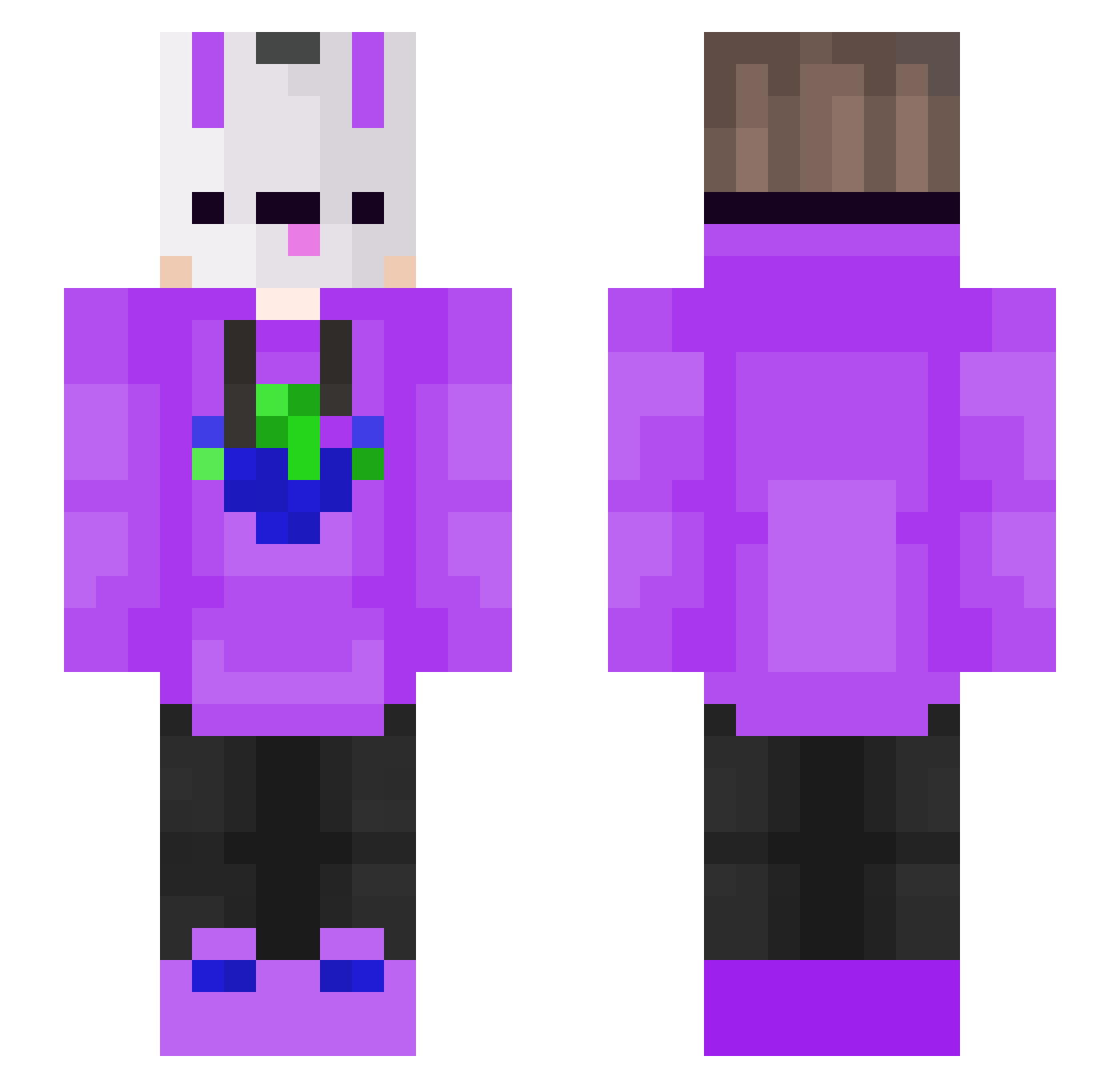 Particularity Minecraft skin, front and back view