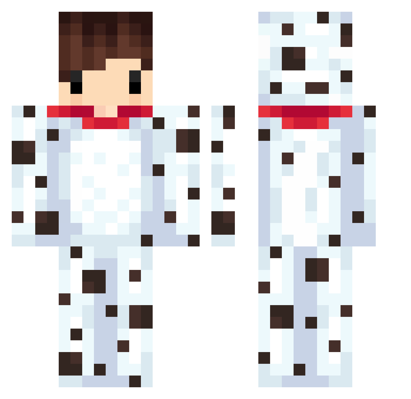 Porgo Minecraft skin, front and back view
