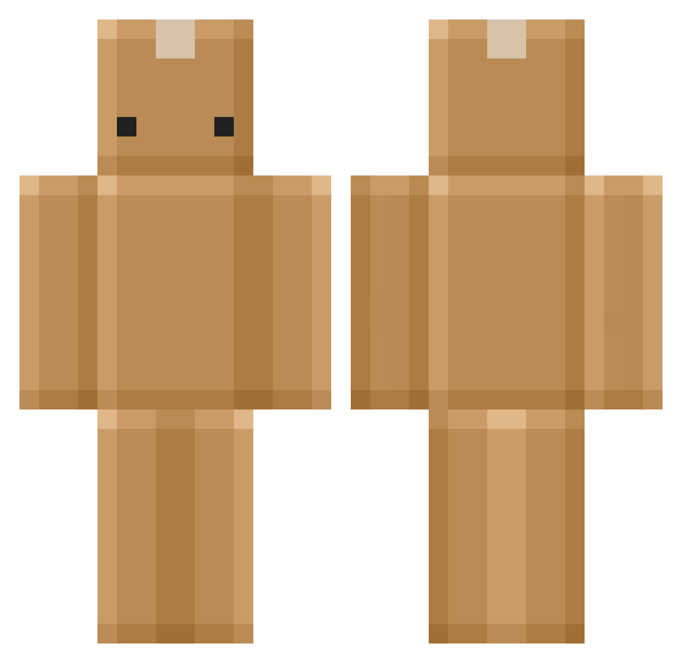 hatak2010 Minecraft skin, front and back view