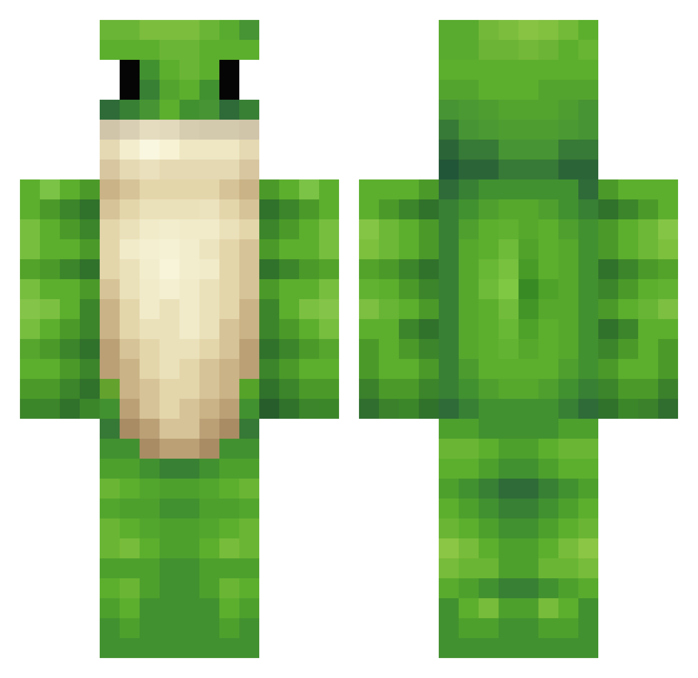 mactak Minecraft skin, front and back view