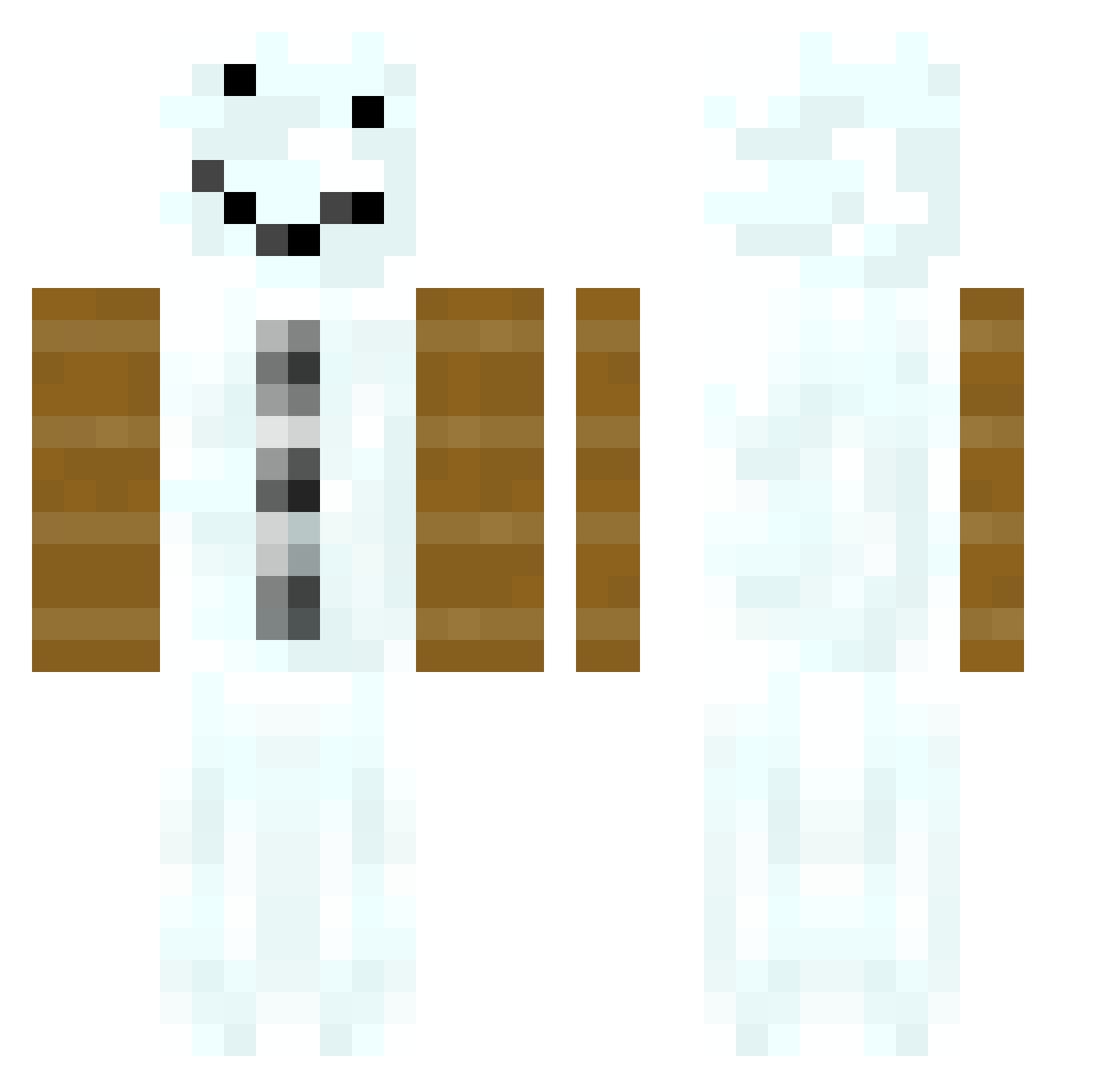 elcoopie Minecraft skin, front and back view