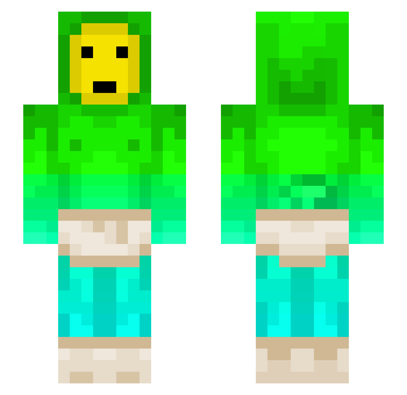 WhenMemesFly Minecraft skin, front and back view