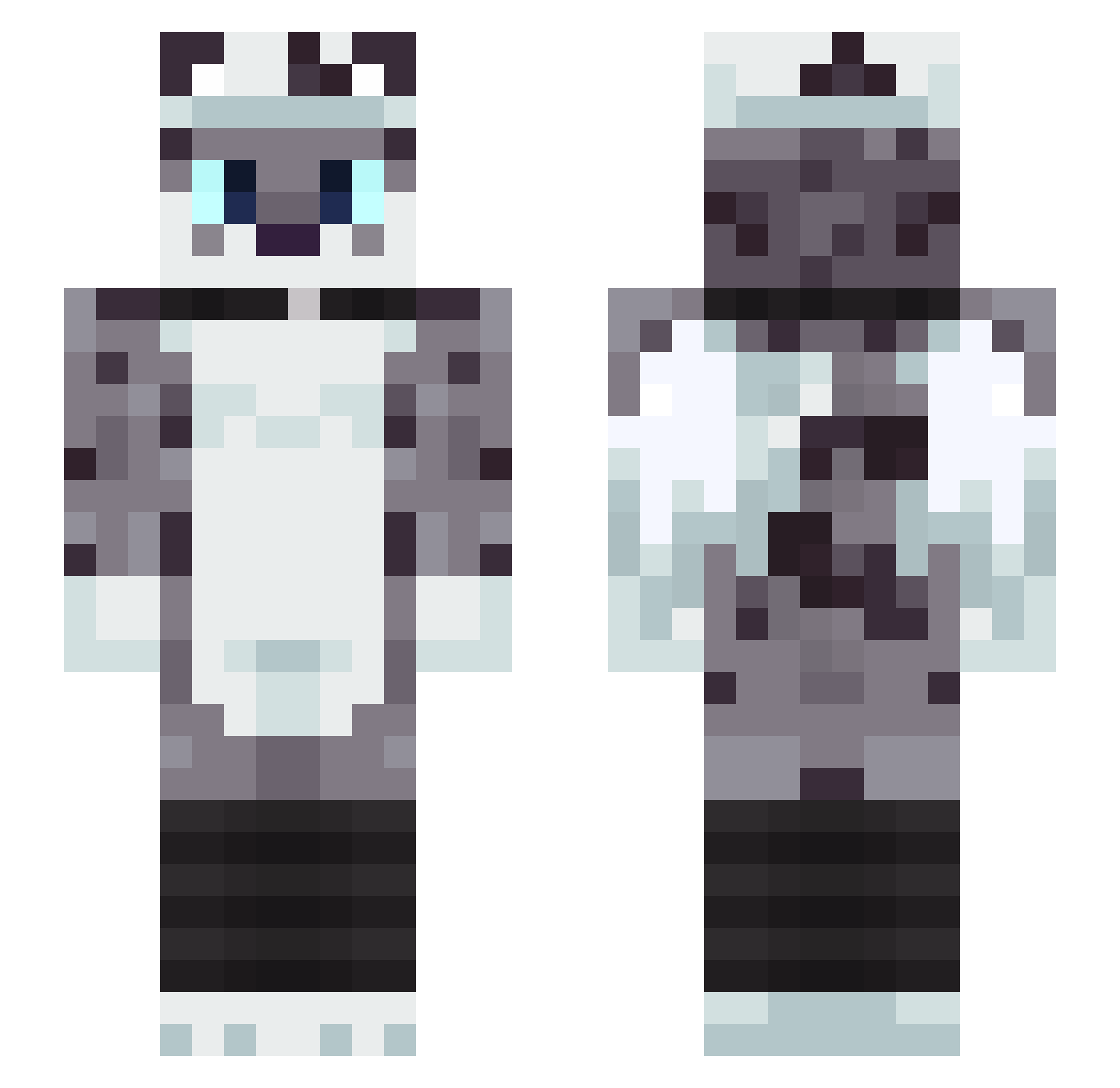 Agotyc Minecraft skin, front and back view