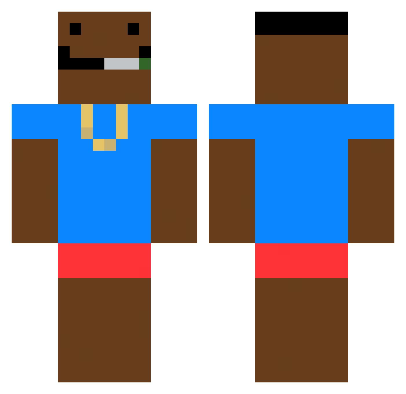 Segregating Minecraft skin, front and back view