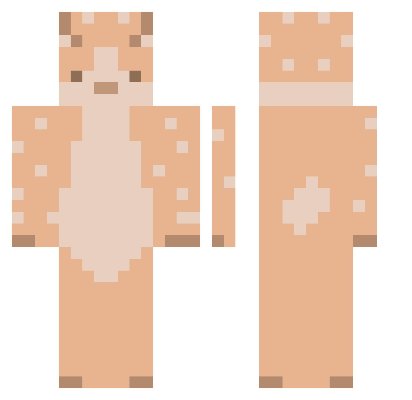 wizard101dotcom Minecraft skin, front and back view