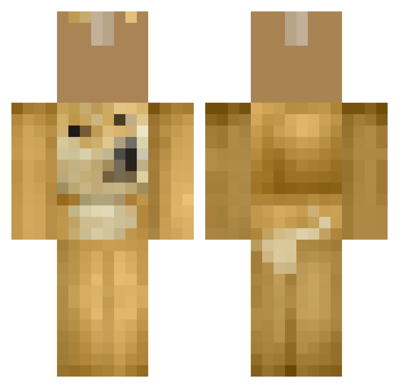 MeowImAMicrowave Minecraft skin, front and back view