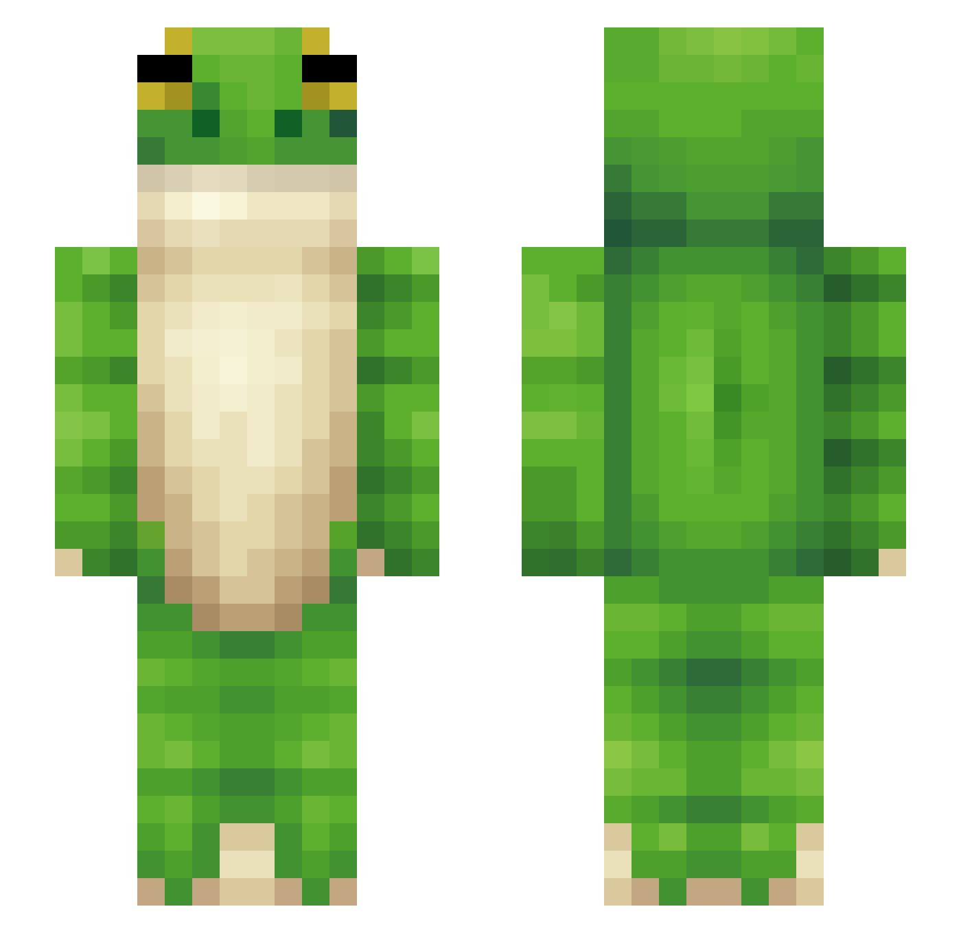 froggo_boggo Minecraft skin, front and back view