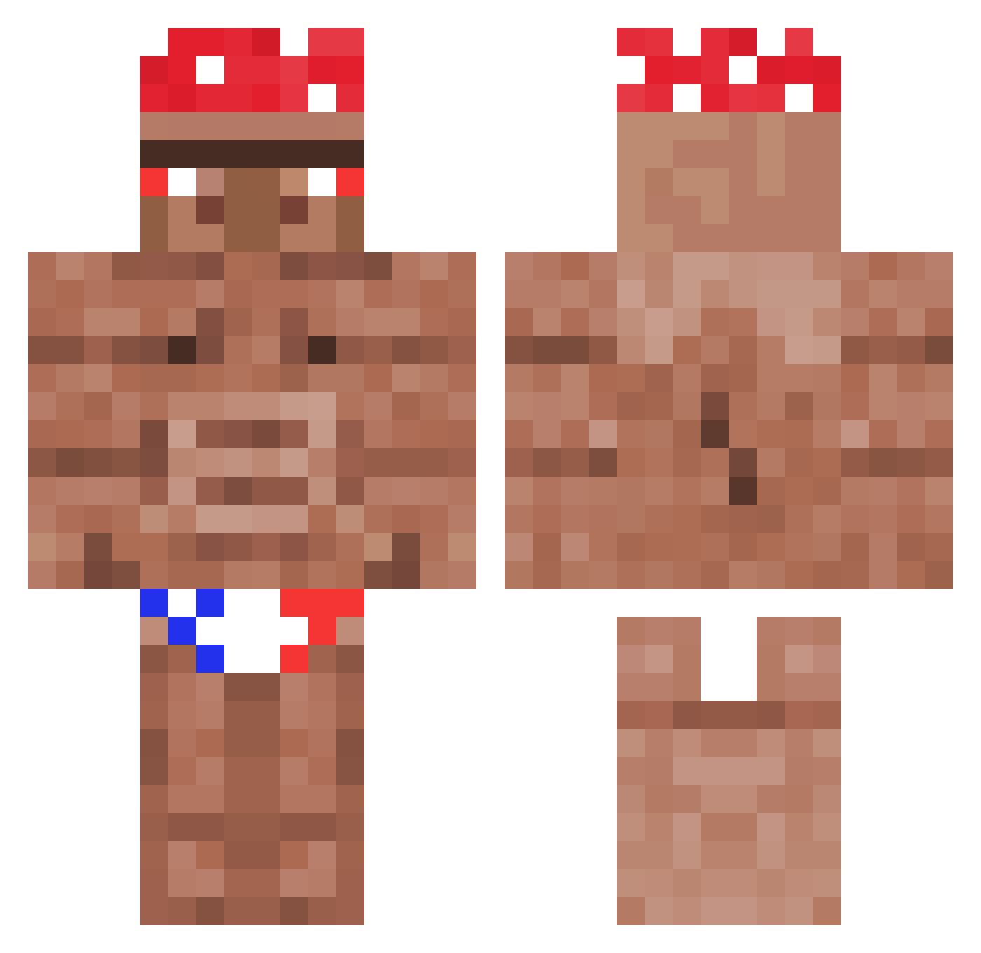 wonts Minecraft skin, front and back view