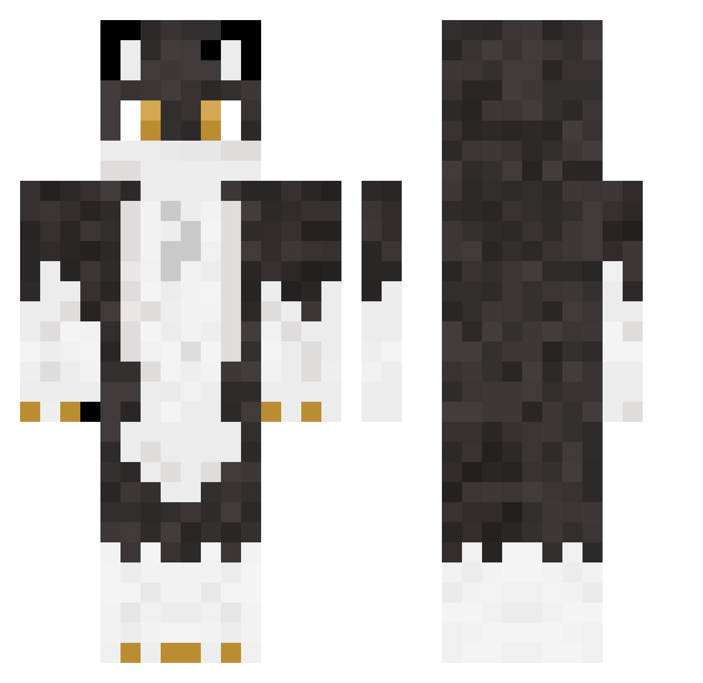 DK1110 Minecraft skin, front and back view