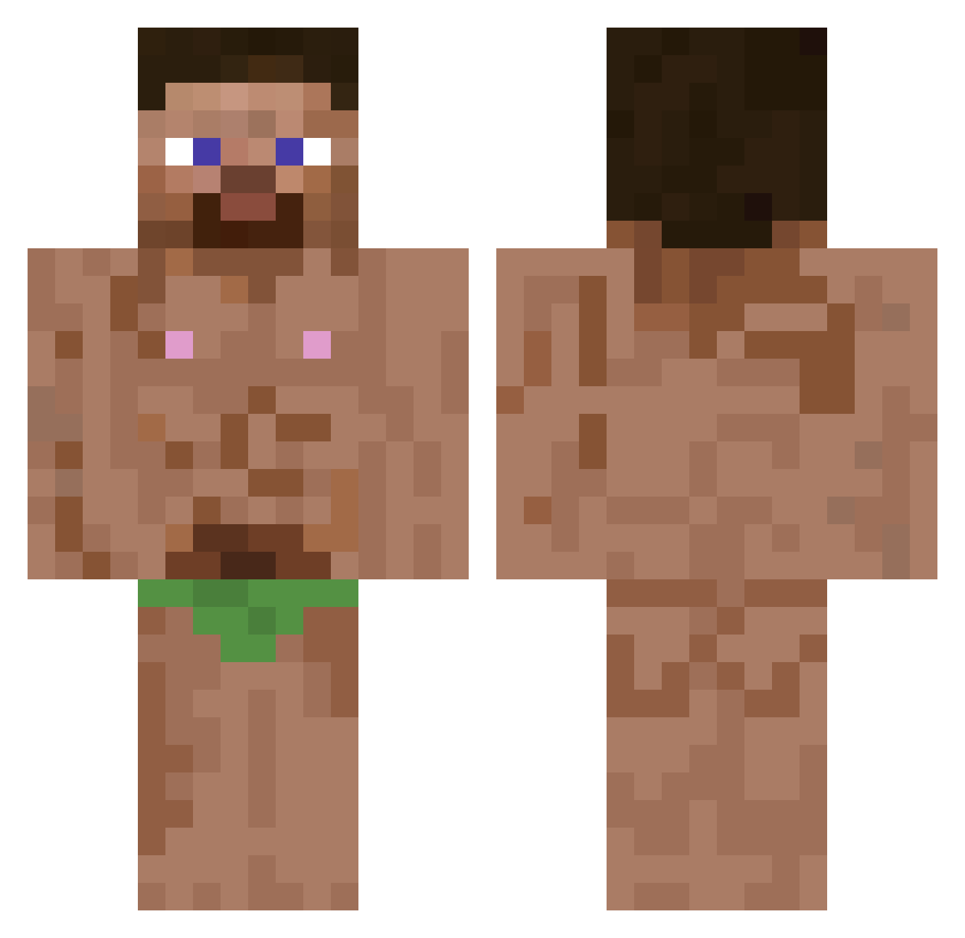 WinterIFox Minecraft skin, front and back view