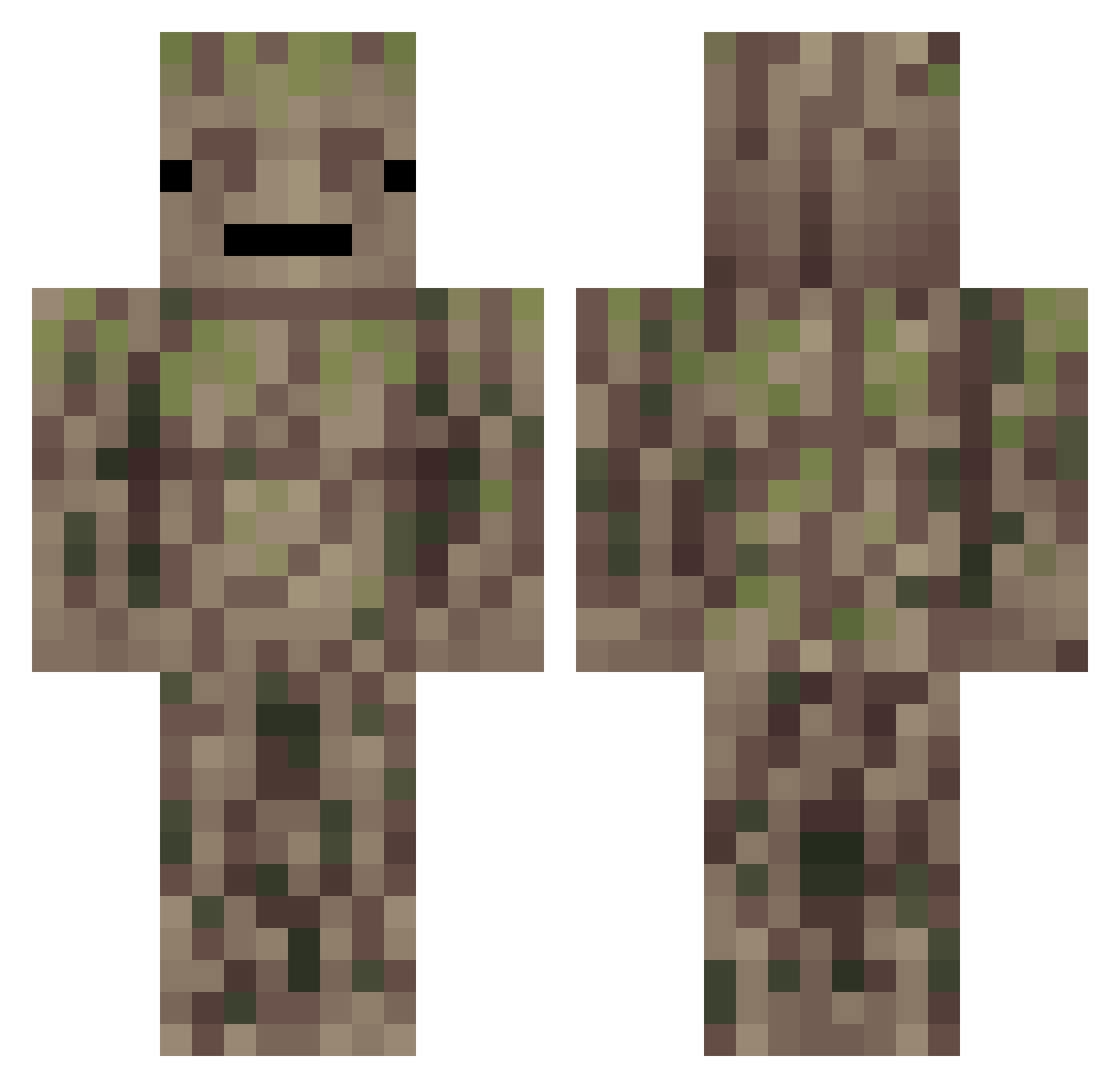 Flexu_ Minecraft skin, front and back view