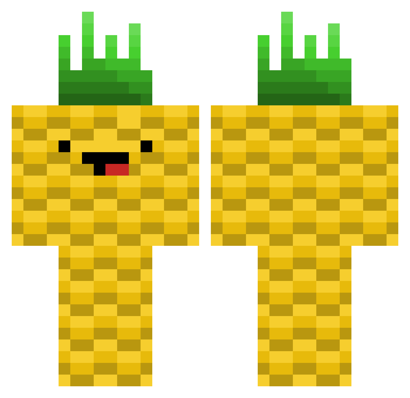 Bartacus660 Minecraft skin, front and back view