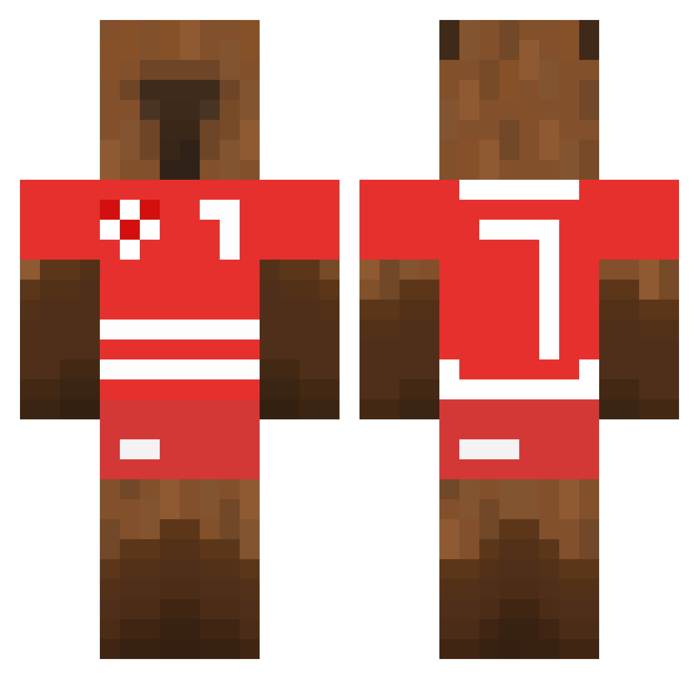 FELXSIN Minecraft skin, front and back view