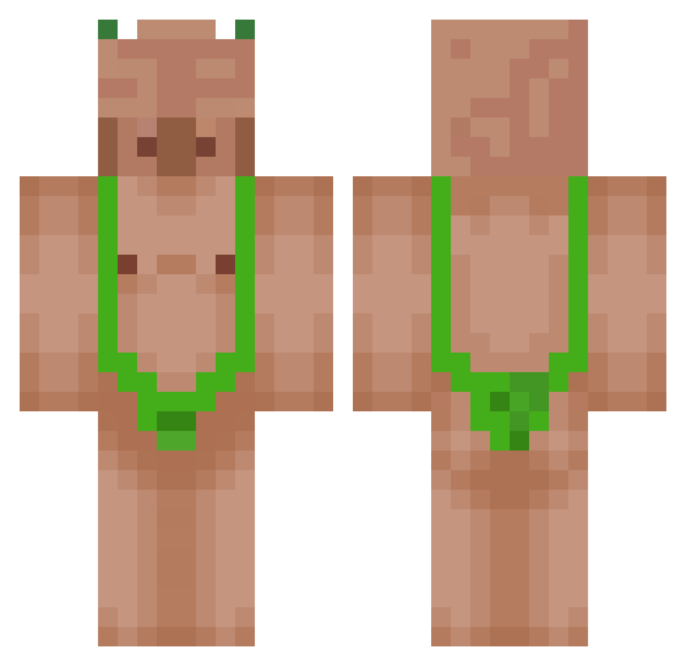 Rokec1 Minecraft skin, front and back view