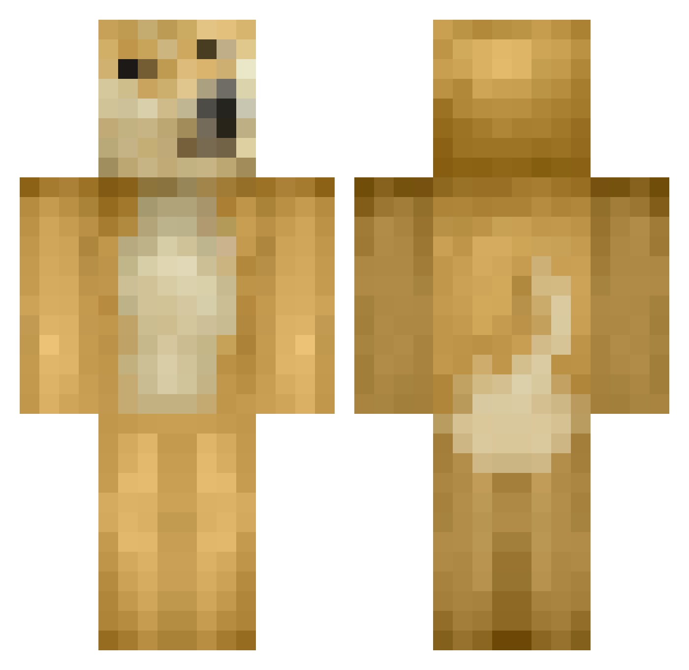 Sr_Dingus Minecraft skin, front and back view