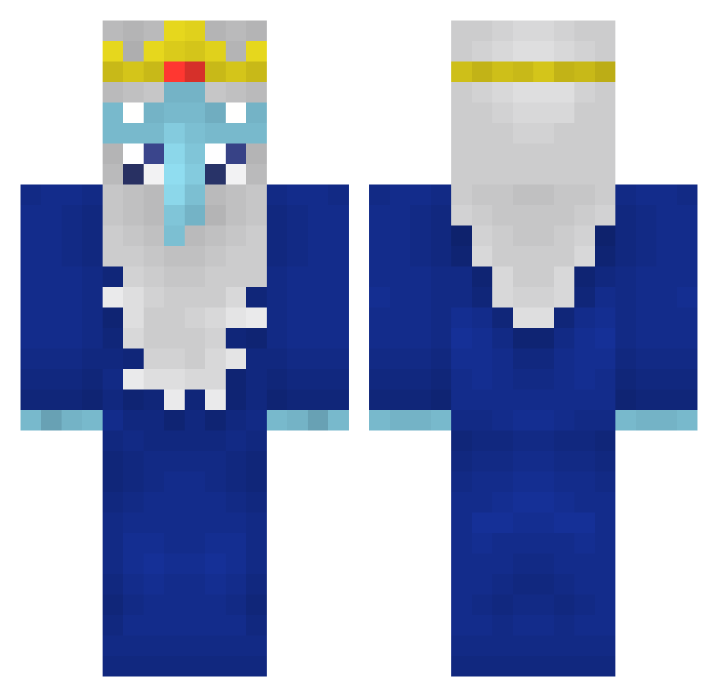 Echocardiogram Minecraft skin, front and back view