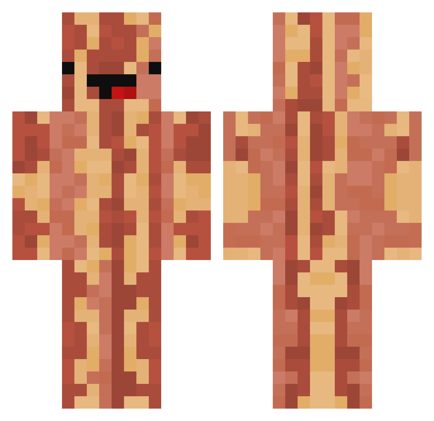 laurabarbosa Minecraft skin, front and back view