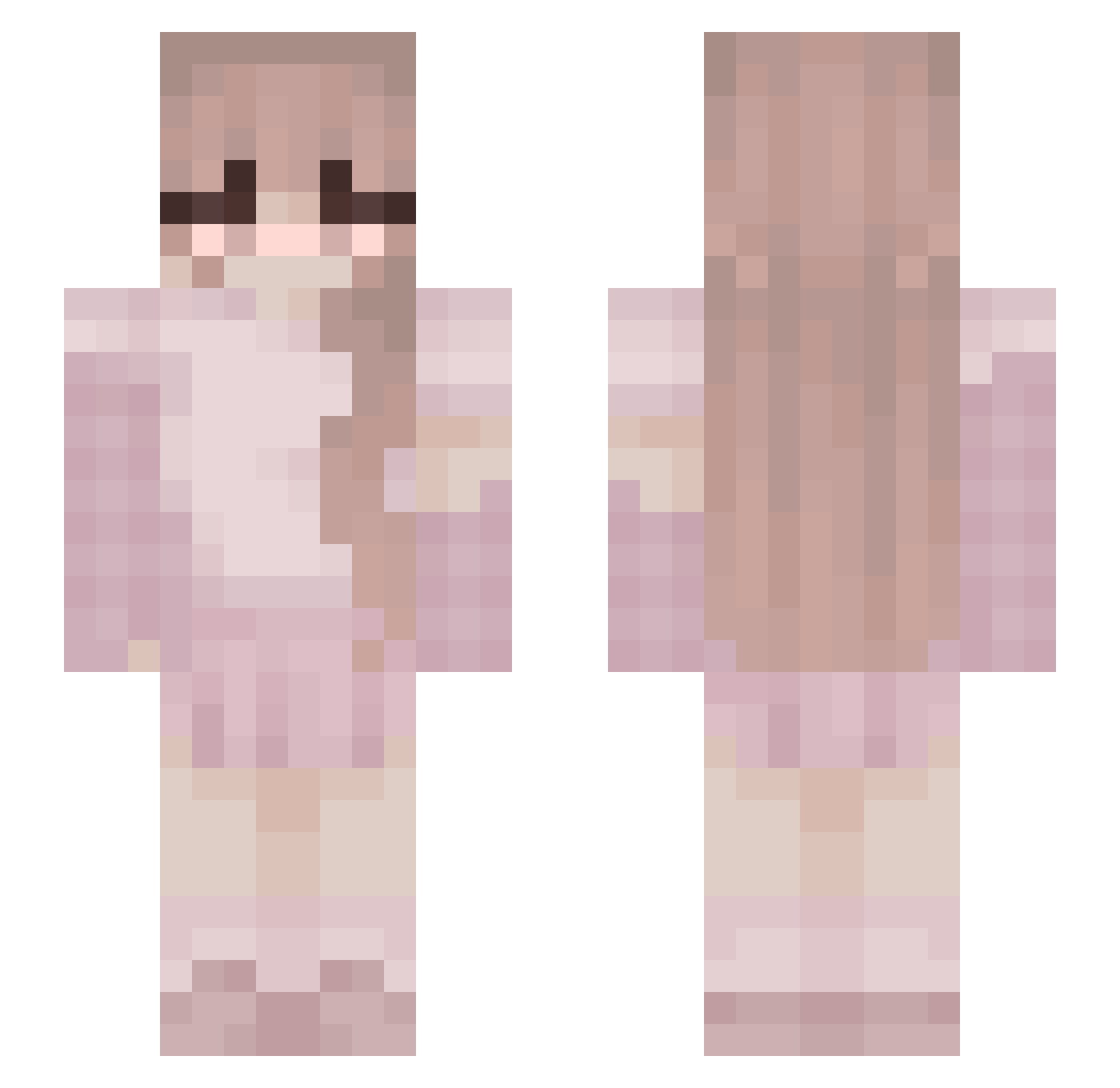 Introspector Minecraft skin, front and back view