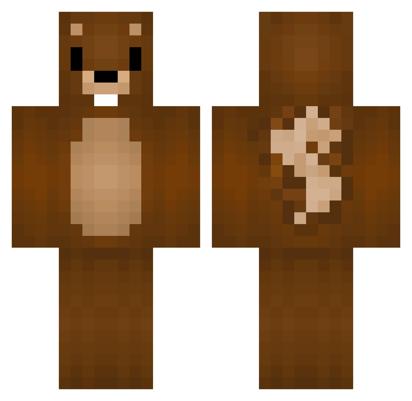 DaRam_G Minecraft skin, front and back view