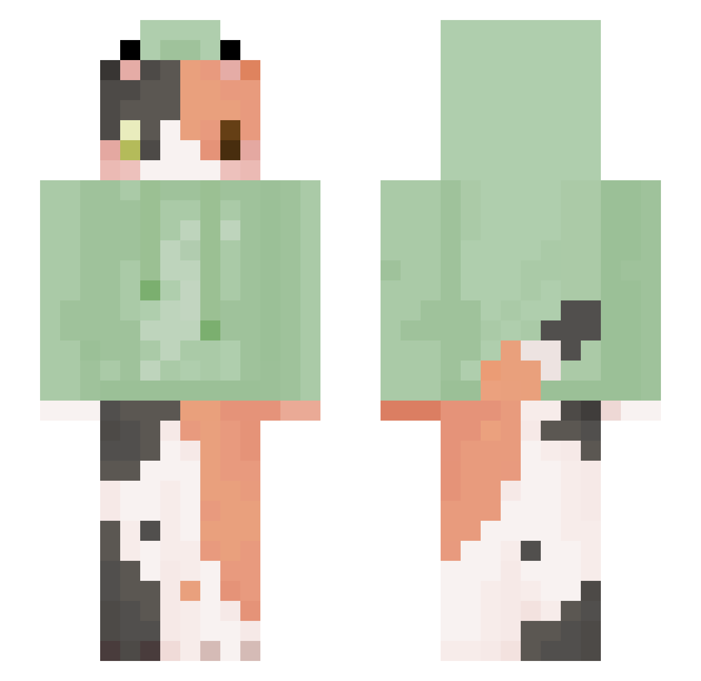 BeCat10 Minecraft skin, front and back view