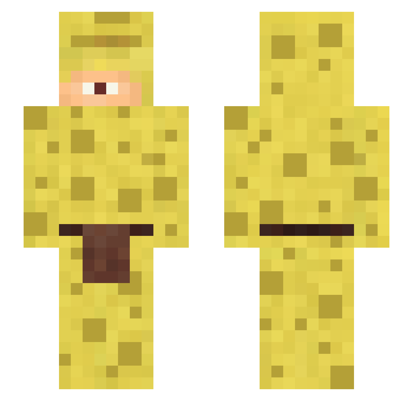 Austejunce Minecraft skin, front and back view