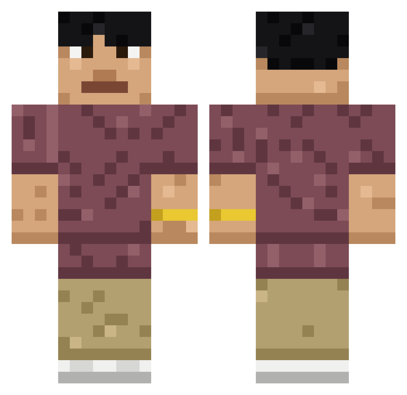PLx20 Minecraft skin, front and back view