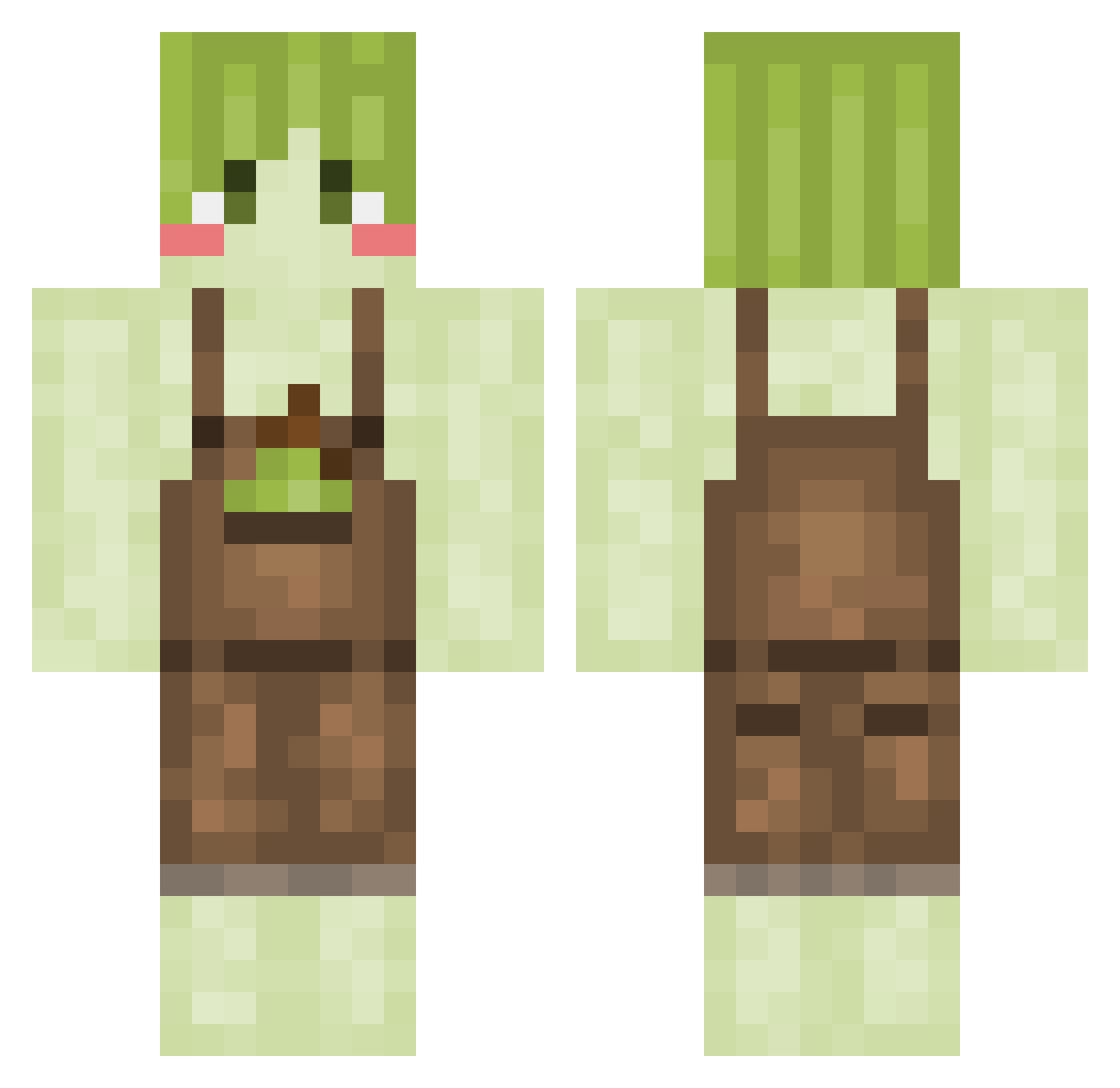DasBirnenDing Minecraft skin, front and back view