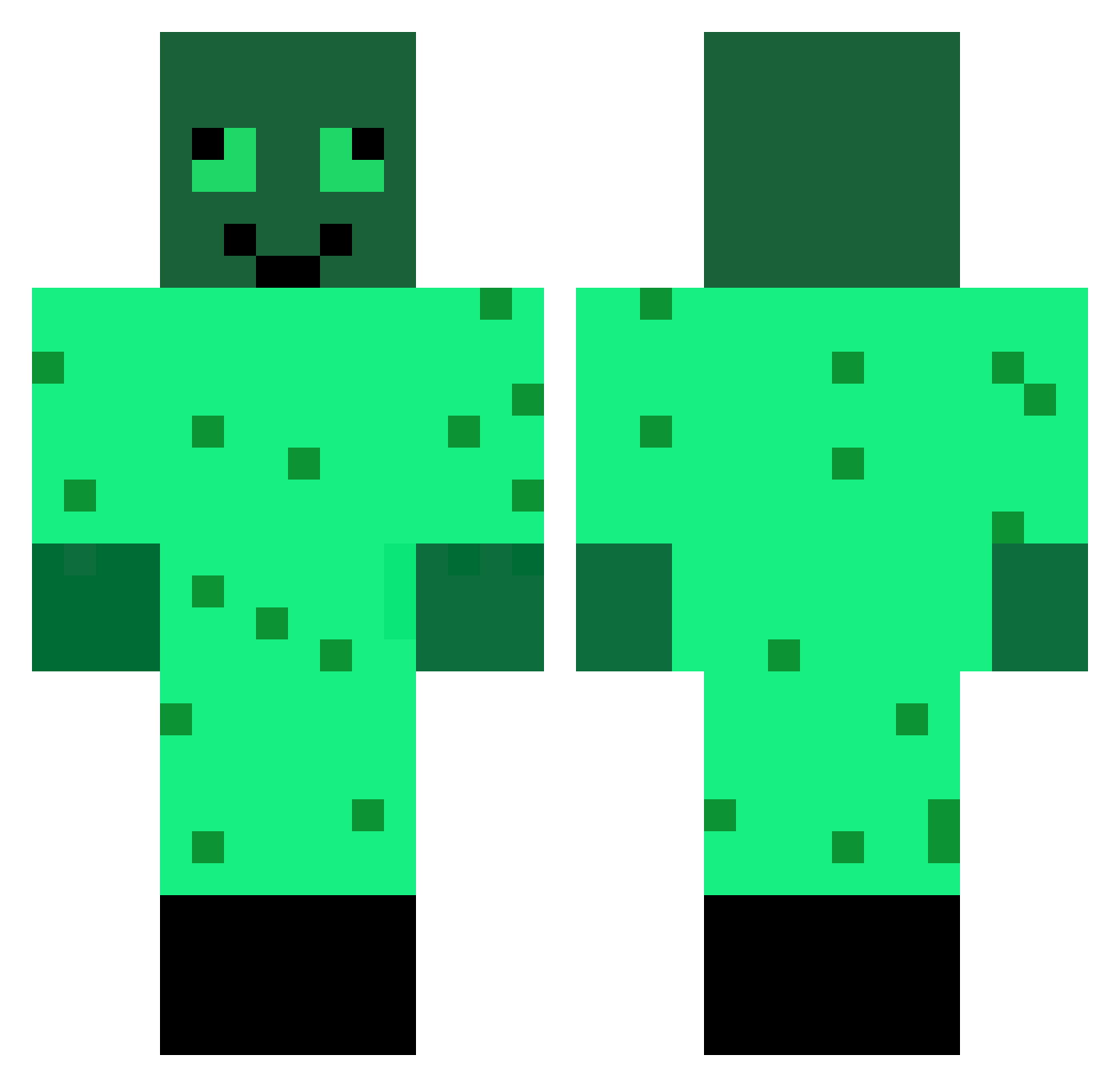 tartaruga_ Minecraft skin, front and back view