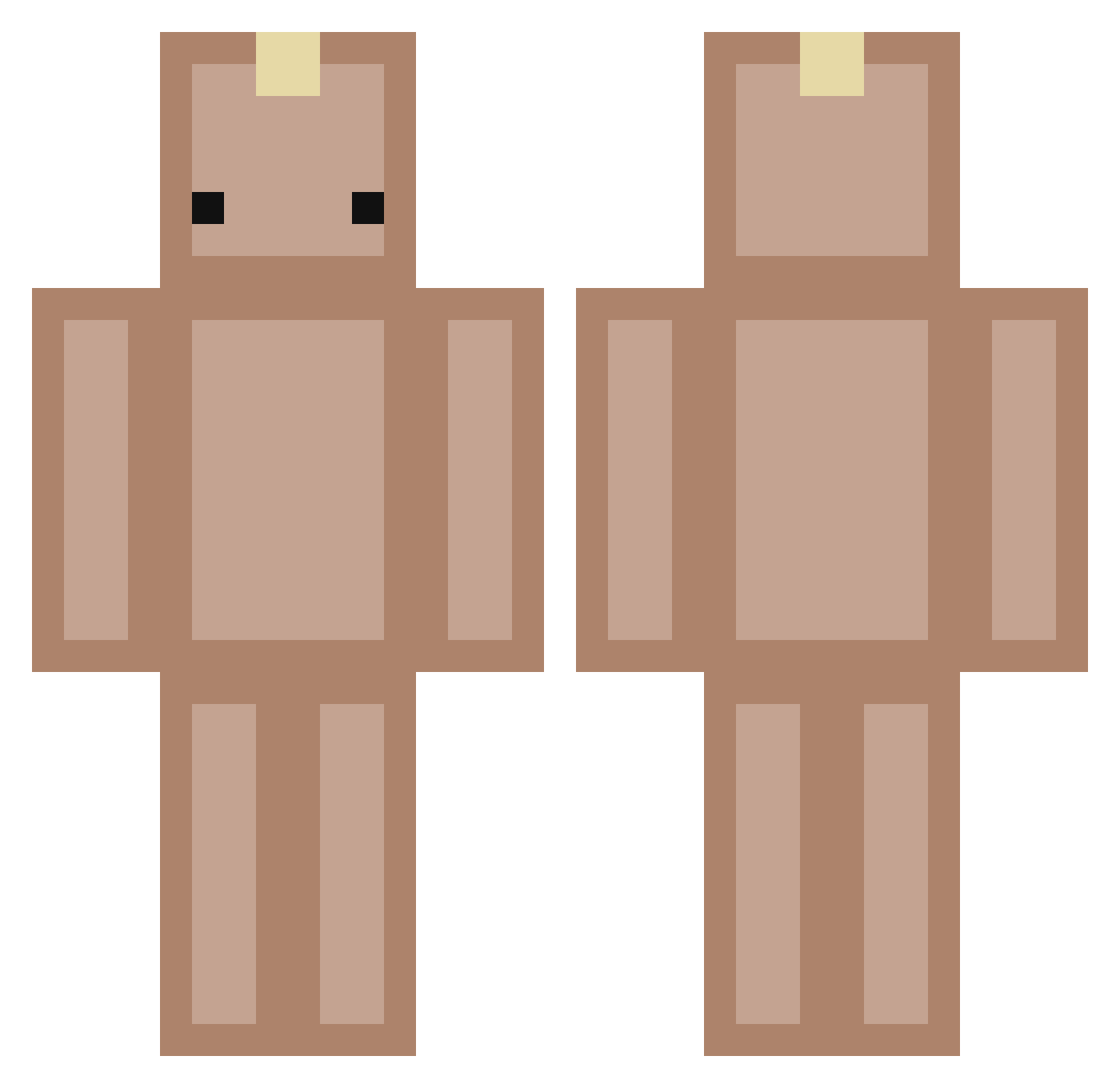 Ndragon1 Minecraft skin, front and back view