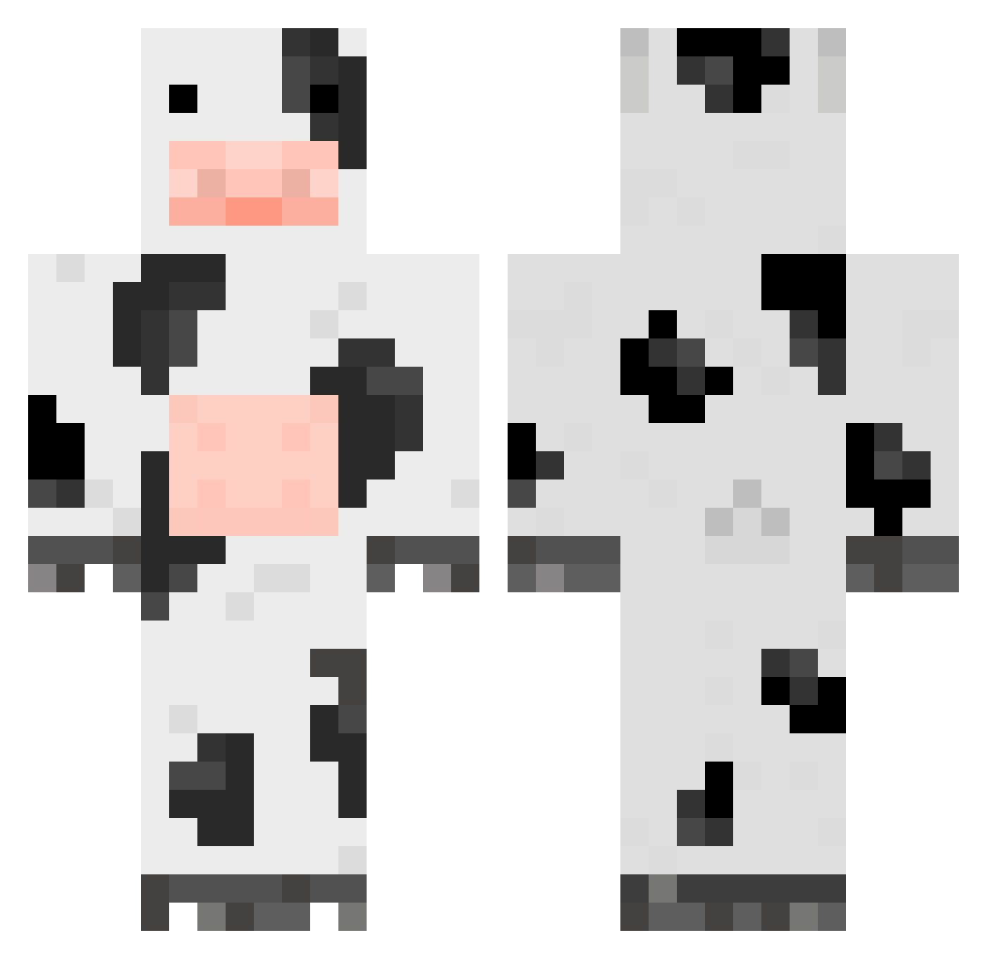 Salolo03 Minecraft skin, front and back view