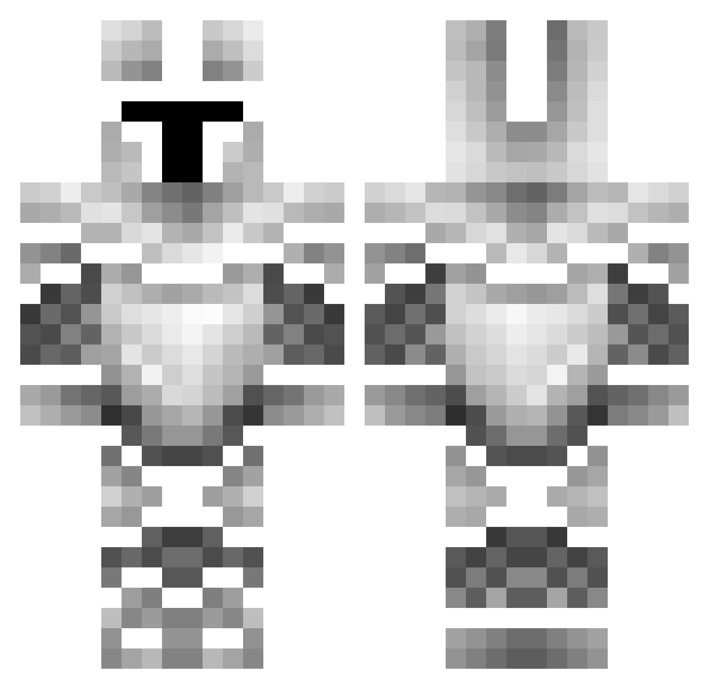moolood Minecraft skin, front and back view