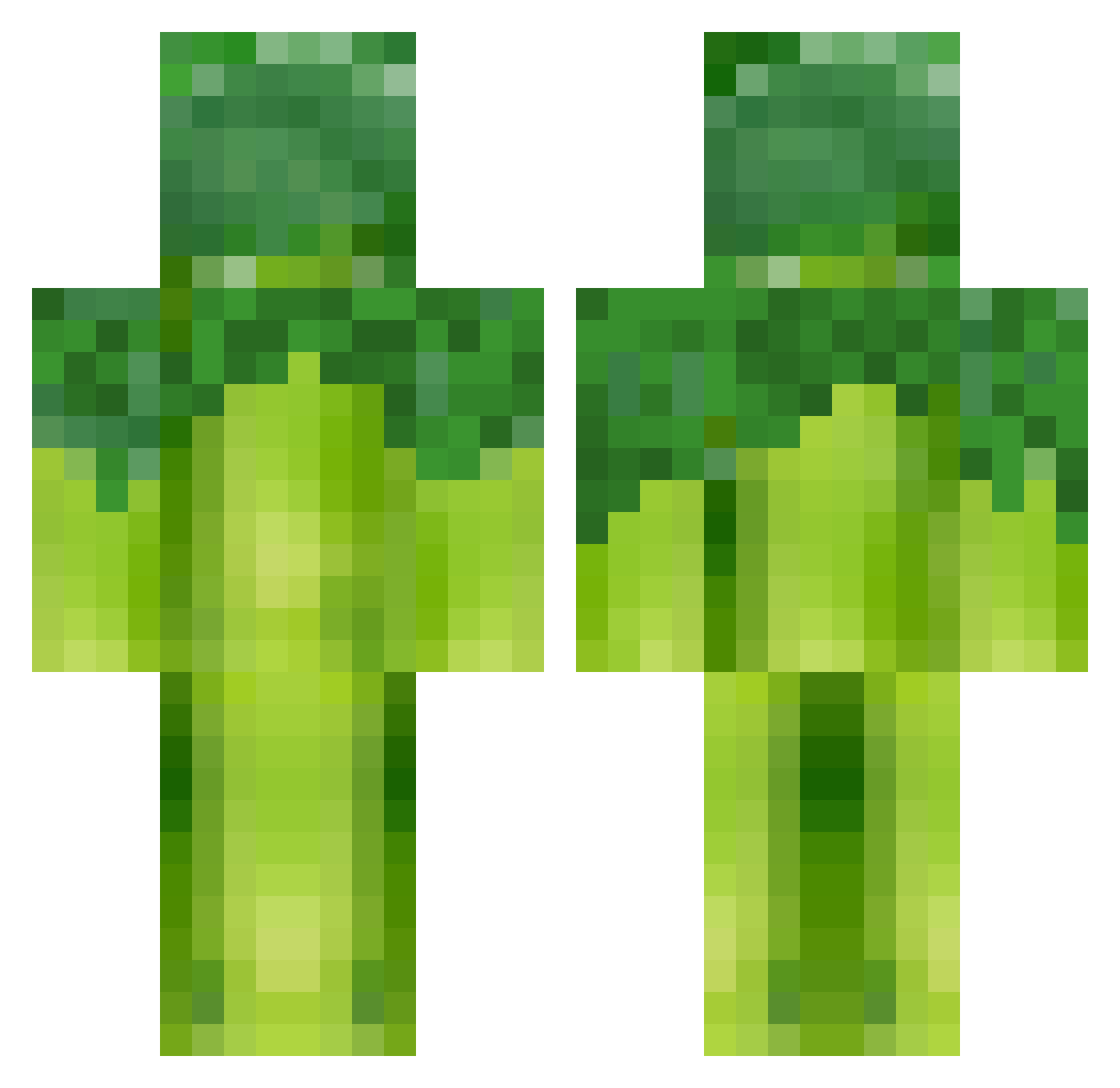 BroccoliGangGang Minecraft skin, front and back view
