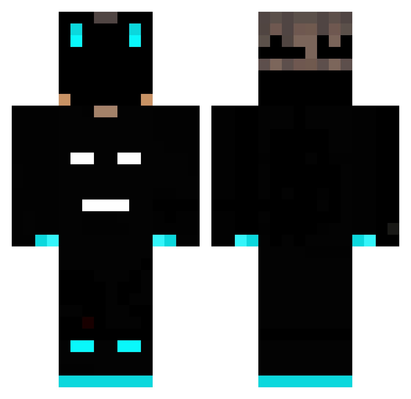 Profits__ Minecraft skin, front and back view